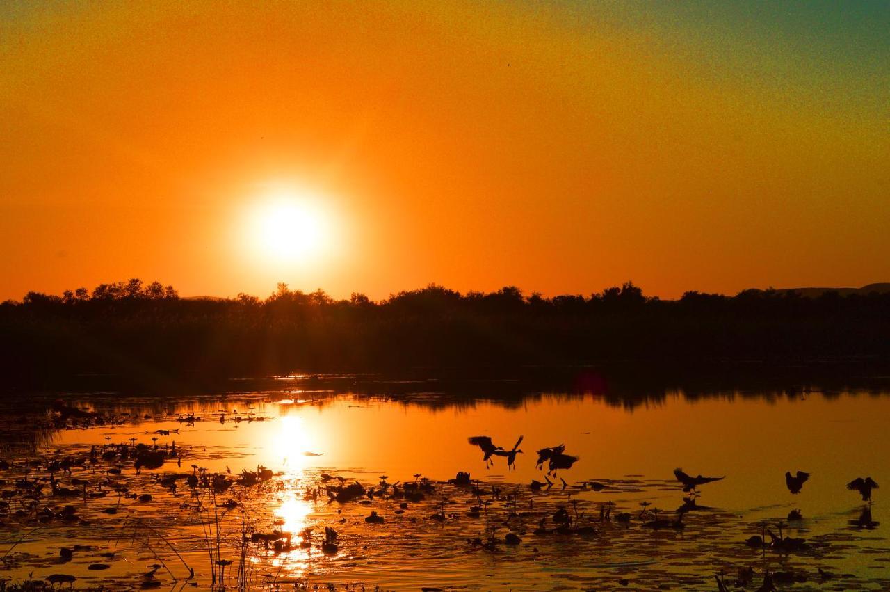 Crocodile Pools Resort Gaborone Buitenkant foto